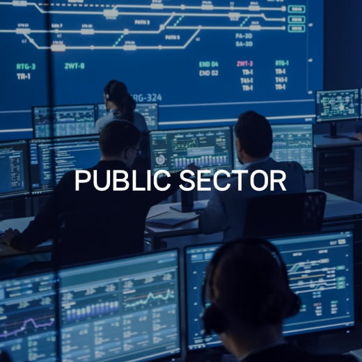 PUBLIC SECTOR