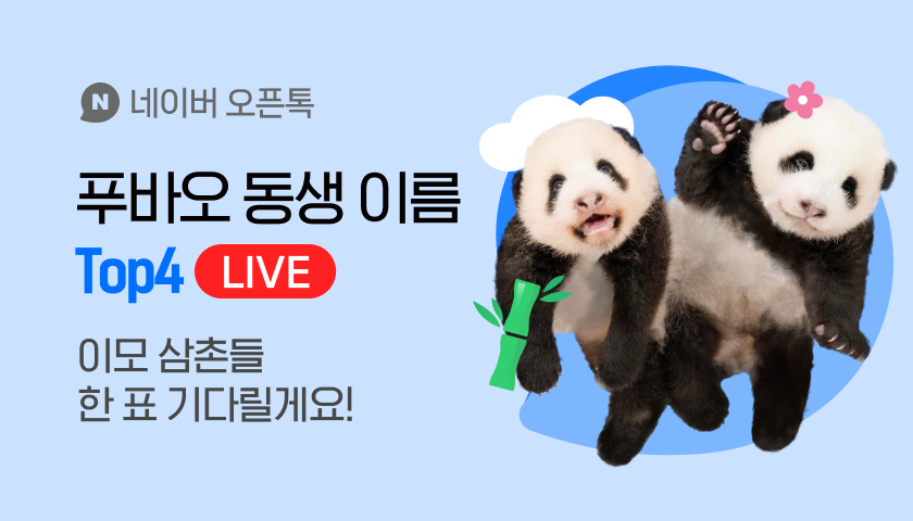 13만 푸덕이 모인 네이버 오픈톡, 푸바오 쌍둥이 동생 이름 결정하는 대국민 파이널 투표 진행